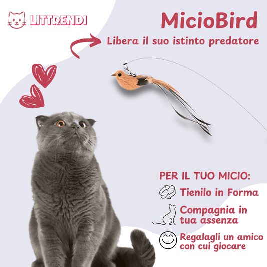 MicioBird™ - Gioco Simula Uccello