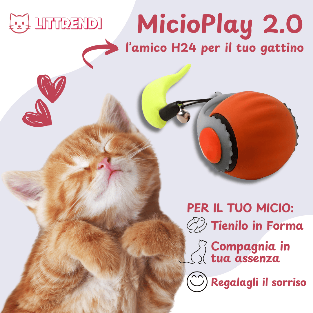 MicioPlay™ 2.0 - Per Gatti Sereni e Mai Soli