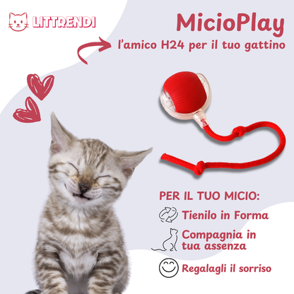 MicioPlay™ - Pallina Antistress Per Gatti