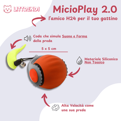 MicioPlay™ 2.0 - Per Gatti Sereni e Mai Soli