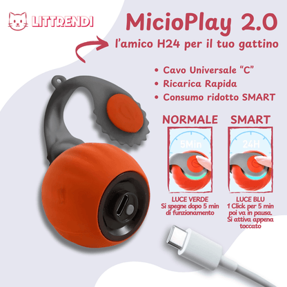 MicioPlay™ 2.0 - Per Gatti Sereni e Mai Soli