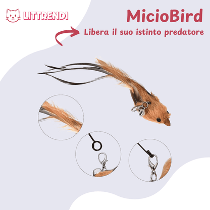 MicioBird™ - Gioco Simula Uccello