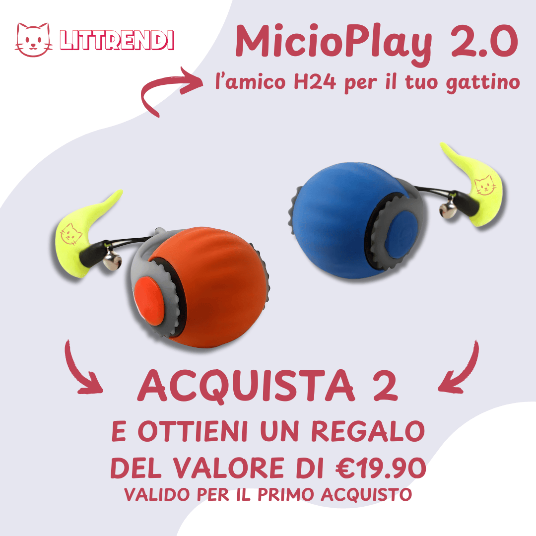 MicioPlay™ 2.0 - Per Gatti Sereni e Mai Soli