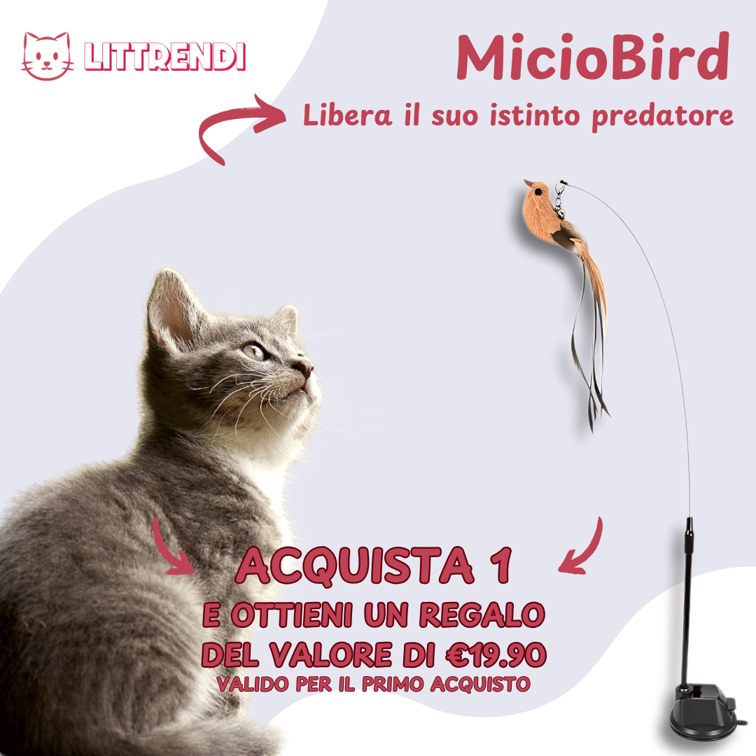 MicioBird™ - Gioco Simula Uccello